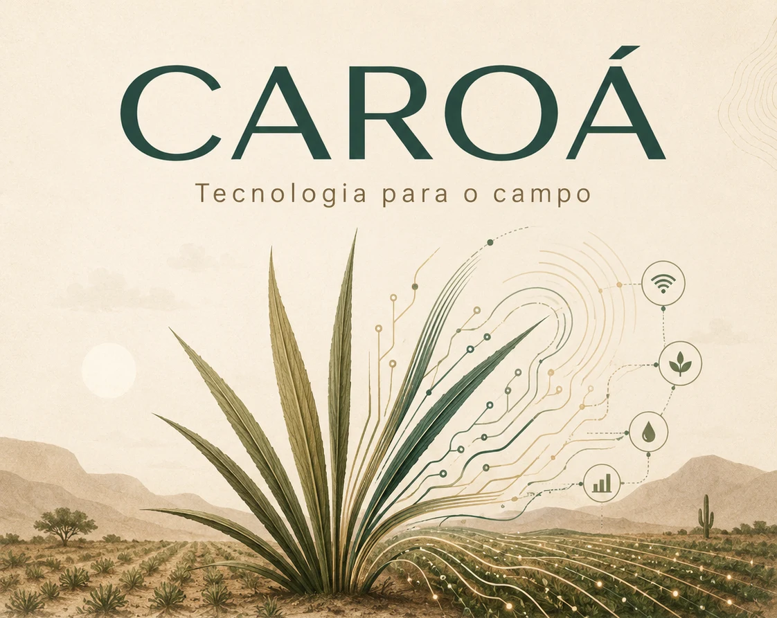 Arte da Caroá: planta caroá no semiárido com traços tecnológicos e ícones de conectividade, água e dados sobre uma área cultivada.